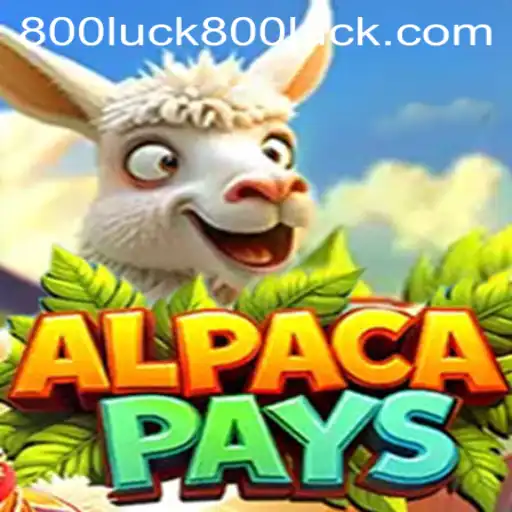 Discovering the Magic of AlpacaPays: Unleash Your Luck with 800luck