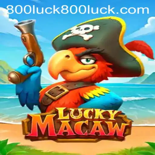 Exploring the Enchanting World of LuckyMacaw