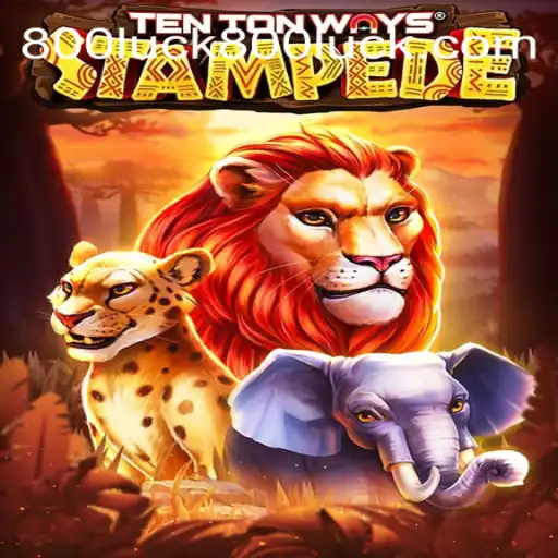 Discover the Adventure of TenTonWaysStampede