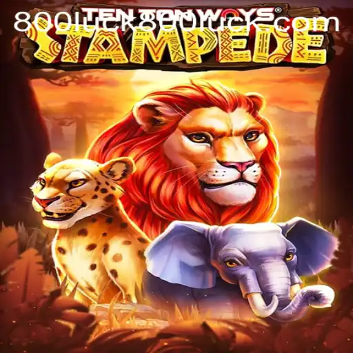 Discover the Adventure of TenTonWaysStampede