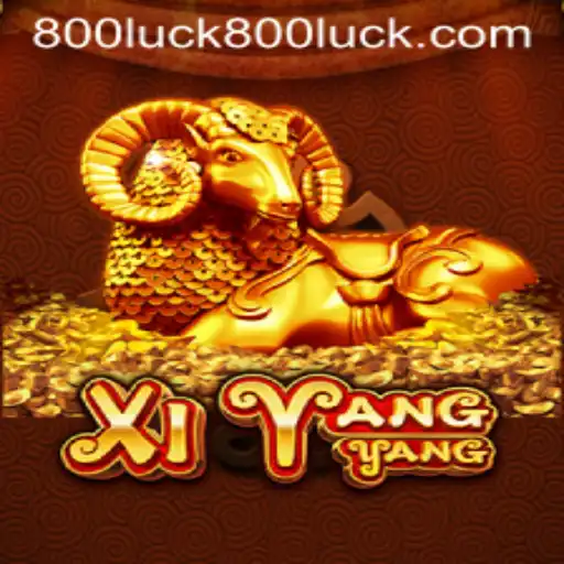 The Exciting World of XiYangYang: A Comprehensive Guide